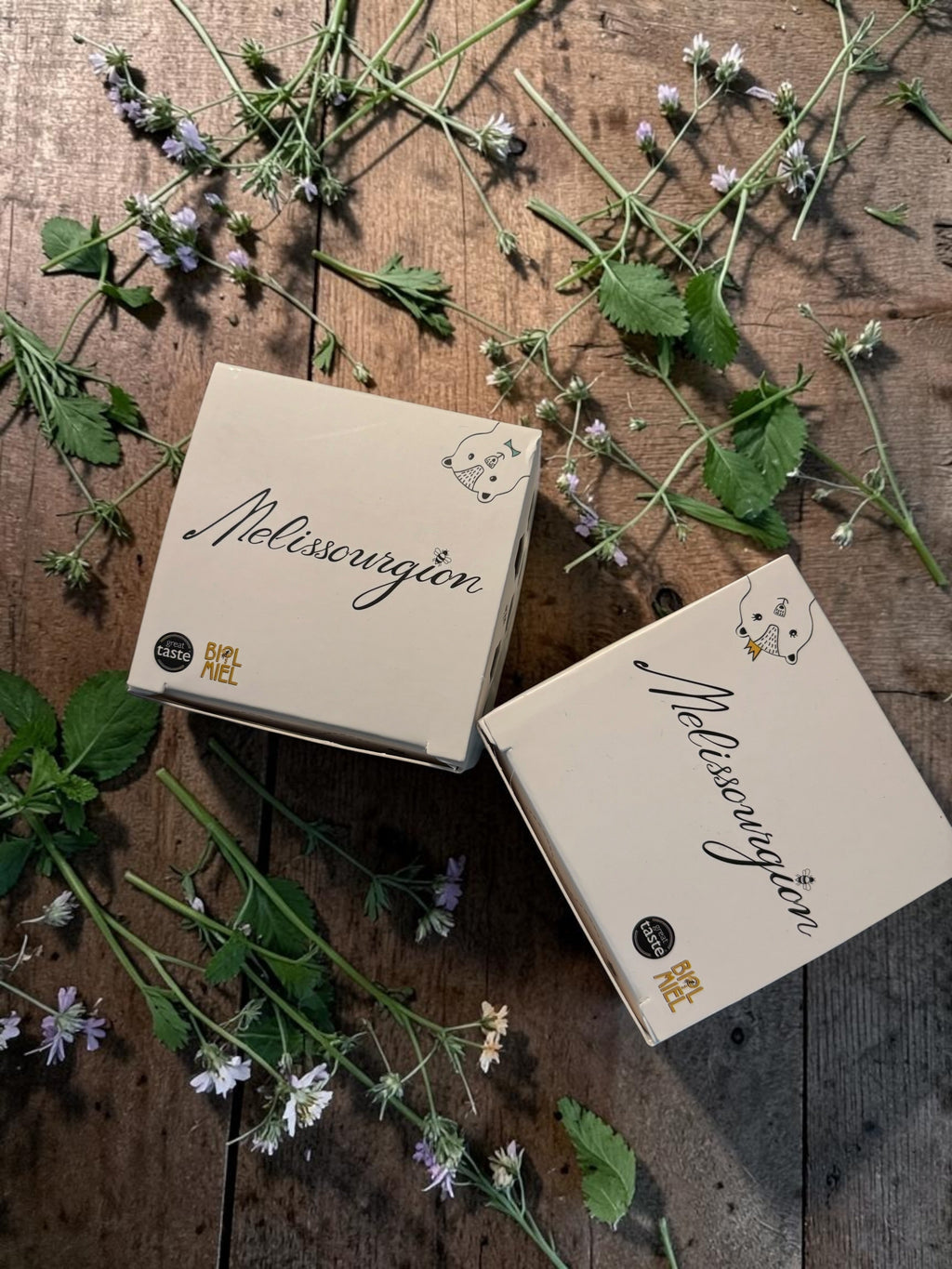 Melissourgion BIO-HONIG AUS WILDEICHE UND WALDBLÜTEN Melissourgion