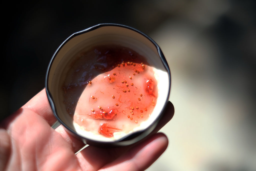 KUMILIO Premium Handmade Fig Marmelade 270g Kumilio