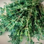 TOFILLO Thymian aus Kreta Tofillo