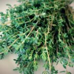 TOFILLO BIO ätherisches Thymianöl Tofillo